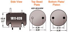 AIR SPRING (1R11-028)